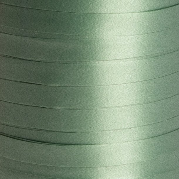 Gavebnd PP 10mm x 250m, Salvie